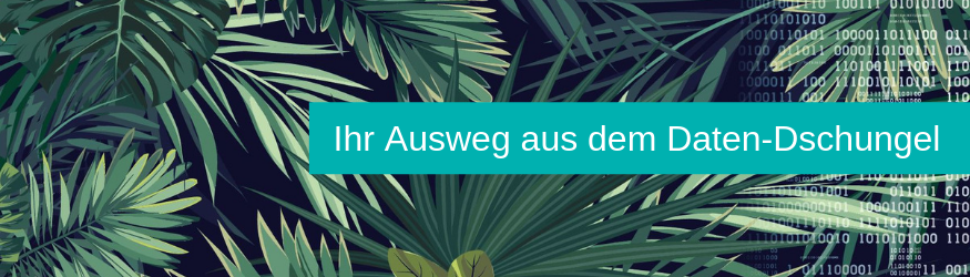 Ausweg aus dem Daten-Dschungel